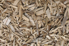 biomass boilers Corrimony